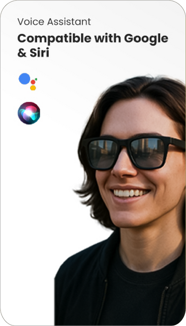 Voice Assistant